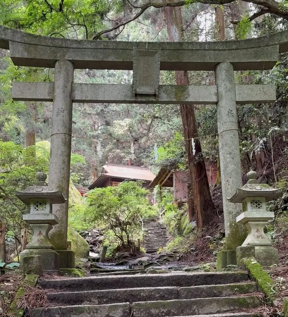 足利市内の出張撮影費は無料!